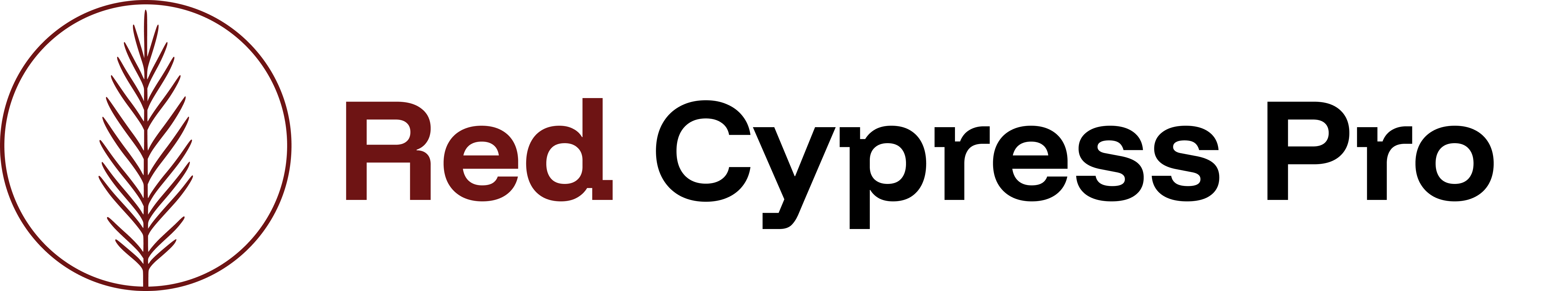 Red Cypress Pro, Baton Rouge Tech Services